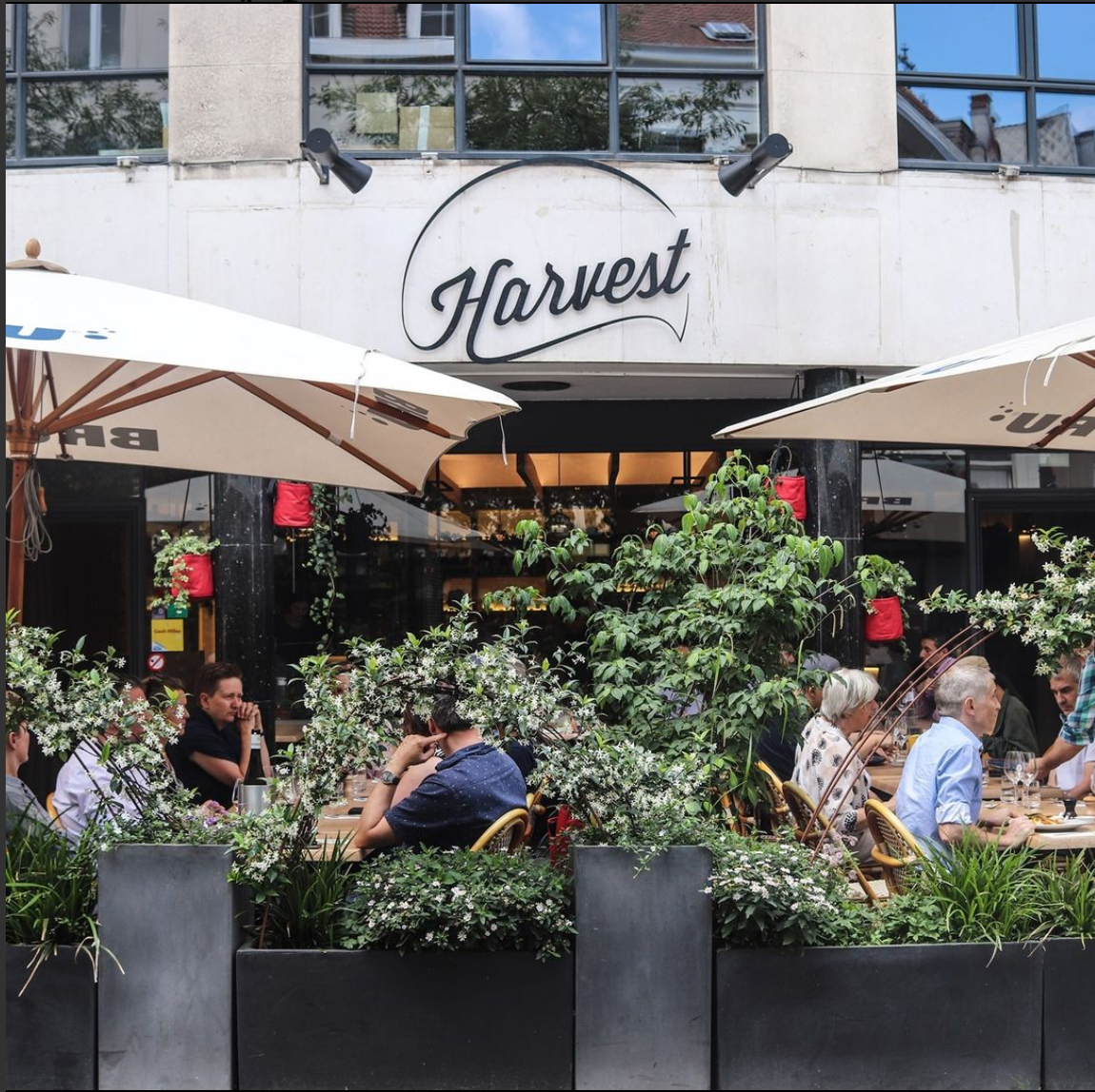 Terrasse du restaurant Harvest situé Place du samedi à Bruxelles